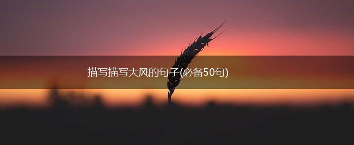 描写描写大风的句子(必备50句),第1张