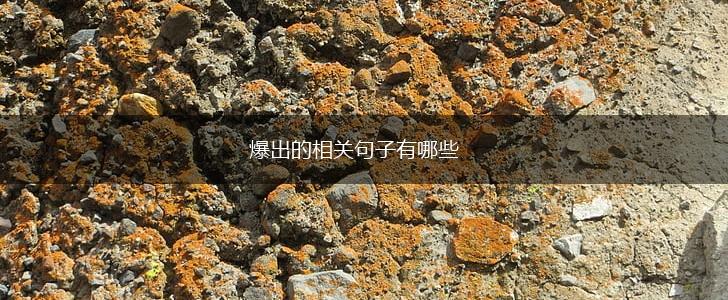 爆出的相关句子有哪些,第1张