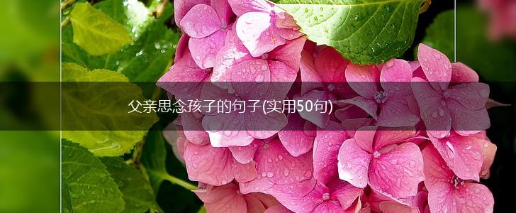 父亲思念孩子的句子(实用50句),第1张