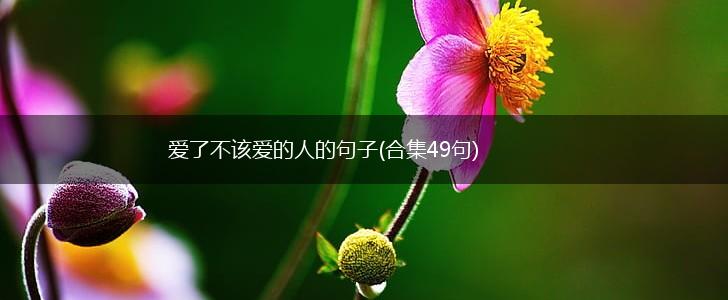 爱了不该爱的人的句子(合集49句),第1张