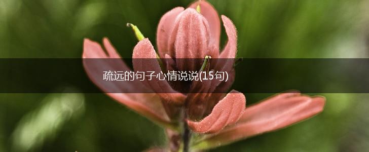 疏远的句子心情说说(15句),第1张