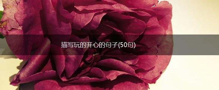 描写玩的开心的句子(50句),第1张