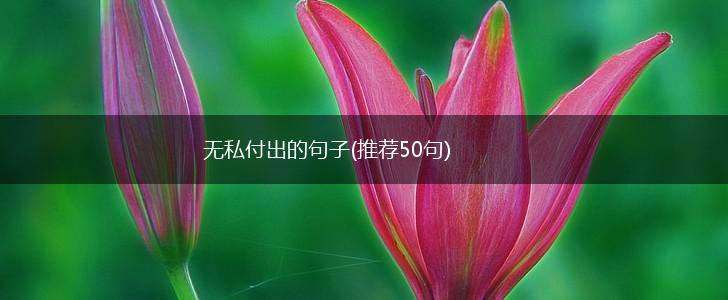 无私付出的句子(推荐50句),第1张