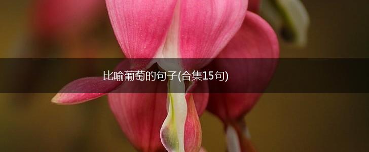 比喻葡萄的句子(合集15句),第1张