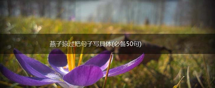 燕子掠过把句子写具体(必备50句),第1张