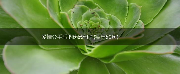 爱情分手后的伤感句子(实用50句),第1张