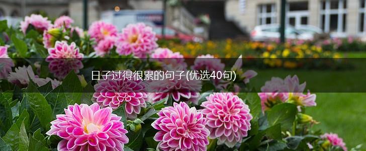 日子过得很累的句子(优选40句),第1张
