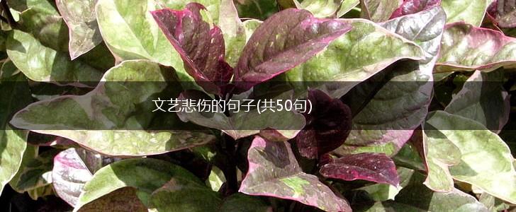 文艺悲伤的句子(共50句),第1张