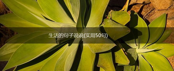 生活的句子说说(实用50句),第1张