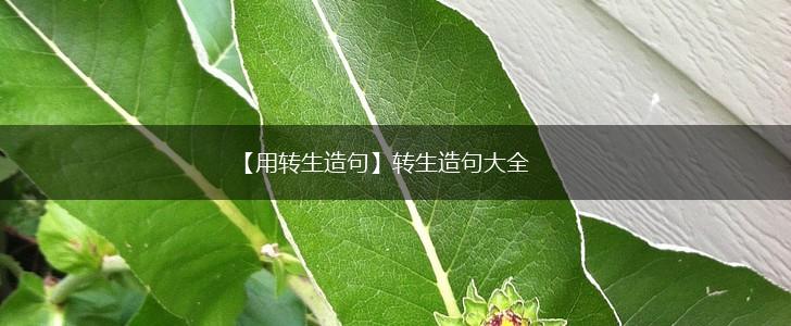 【用转生造句】转生造句大全,第1张 【用转生造句】转生造句大全,第1张