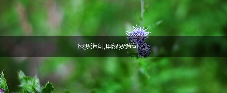 绿罗造句,用绿罗造句,第1张