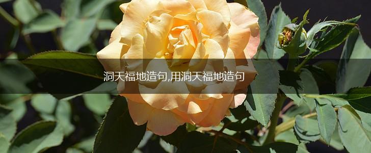 洞天福地造句,用洞天福地造句,第1张