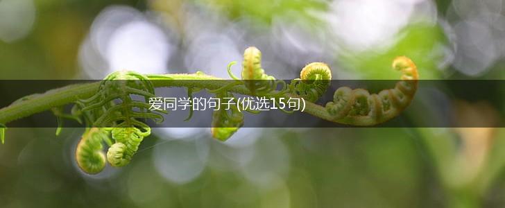 爱同学的句子(优选15句),第1张