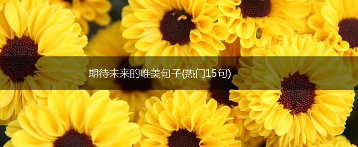 期待未来的唯美句子(热门15句),第1张
