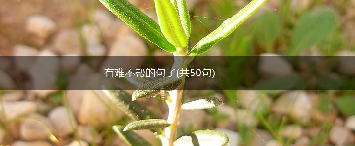 有难不帮的句子(共50句),第1张