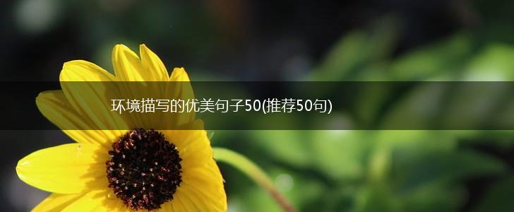 环境描写的优美句子50(推荐50句),第1张