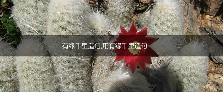 有缘千里造句,用有缘千里造句,第1张 有缘千里造句,用有缘千里造句,第1张