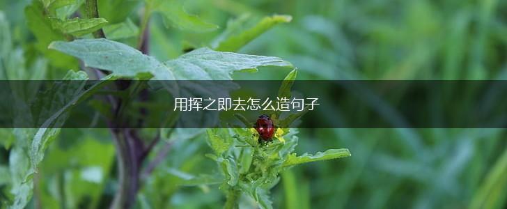 用挥之即去怎么造句子,第1张