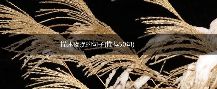 描述夜晚的句子(推荐50句),第1张