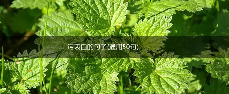 污表白的句子(通用50句),第1张