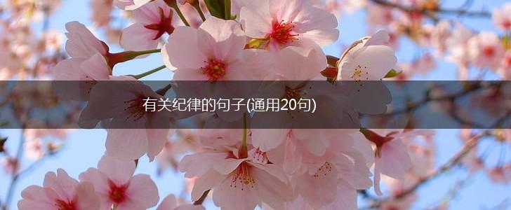 有关纪律的句子(通用20句),第1张