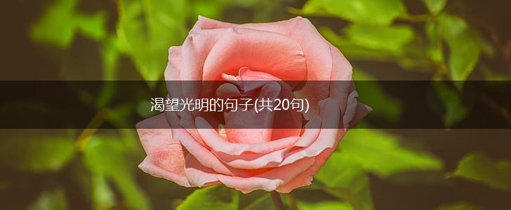 渴望光明的句子(共20句),第1张