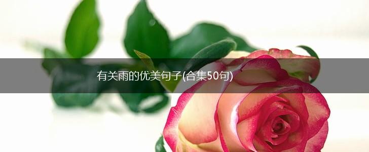 有关雨的优美句子(合集50句),第1张