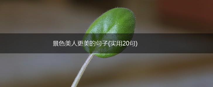 景色美人更美的句子(实用20句),第1张