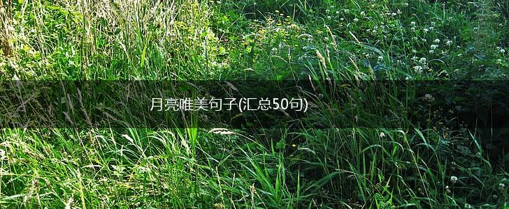 月亮唯美句子(汇总50句),第1张