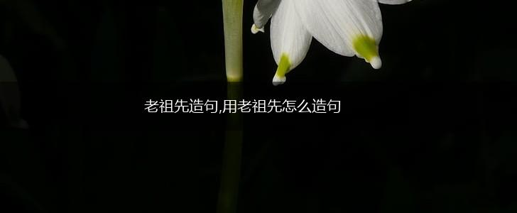 老祖先造句,用老祖先怎么造句,第1张