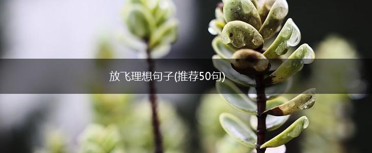 放飞理想句子(推荐50句),第1张