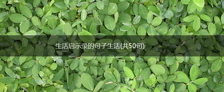 生活启示录的句子生活(共50句),第1张