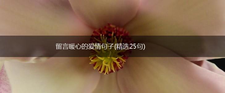 留言暖心的爱情句子(精选25句),第1张