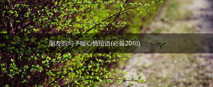 朋友的句子暖心情短语(必备20句),第1张