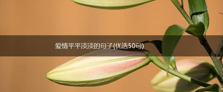 爱情平平淡淡的句子(优选50句),第1张