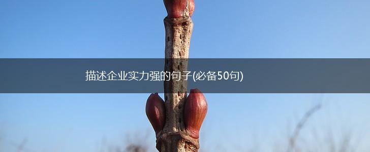 描述企业实力强的句子(必备50句),第1张