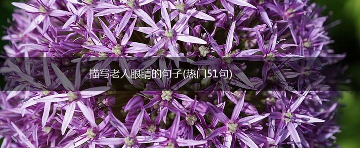 描写老人眼睛的句子(热门51句),第1张