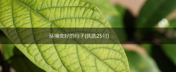 环境变好的句子(优选25句),第1张