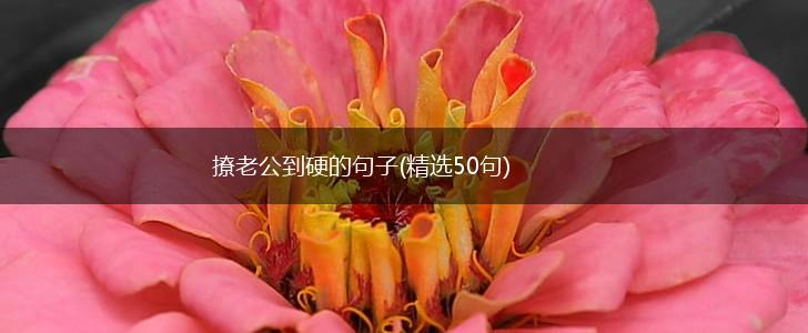撩老公到硬的句子(精选50句),第1张