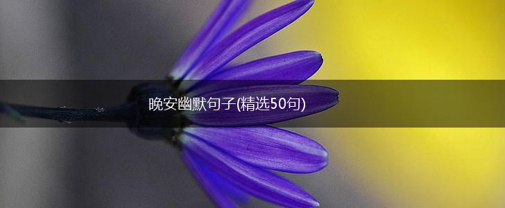 晚安幽默句子(精选50句),第1张