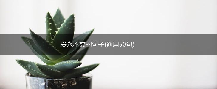 爱永不变的句子(通用50句),第1张