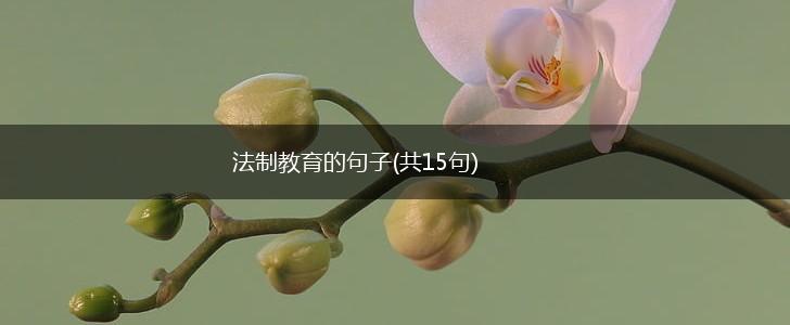 法制教育的句子(共15句),第1张