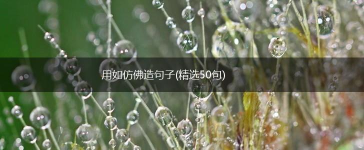 用如仿佛造句子(精选50句),第1张