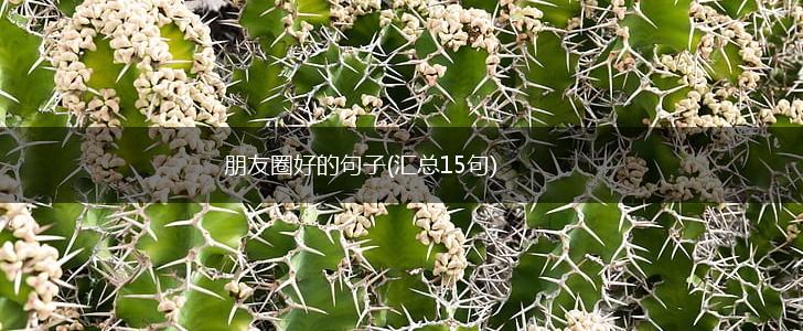 朋友圈好的句子(汇总15句),第1张