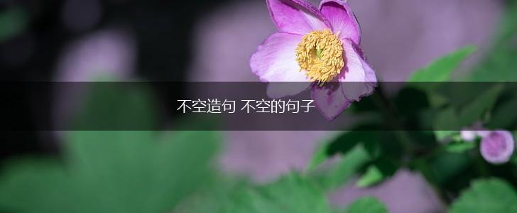 不空造句 不空的句子,第1张