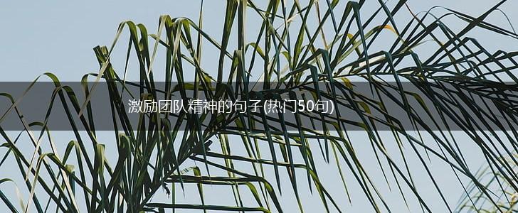激励团队精神的句子(热门50句),第1张