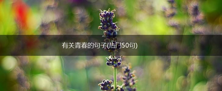 有关青春的句子(热门50句),第1张