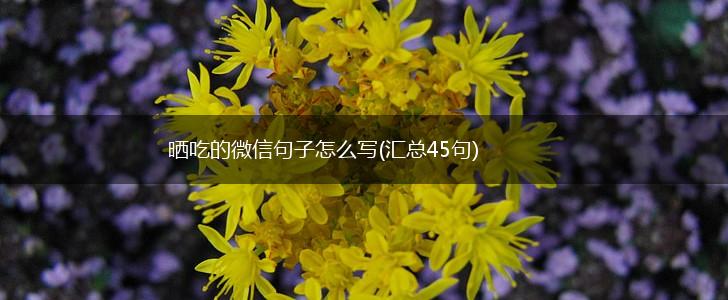 晒吃的微信句子怎么写(汇总45句),第1张