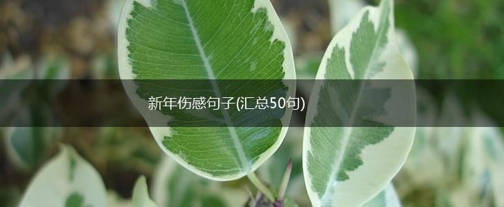 新年伤感句子(汇总50句),第1张