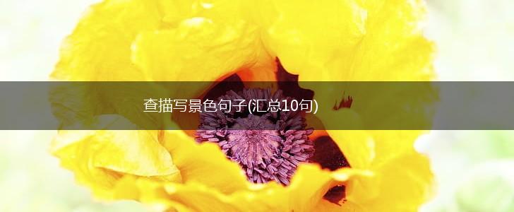 查描写景色句子(汇总10句),第1张